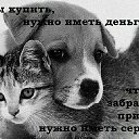  , -- -  23  2014    