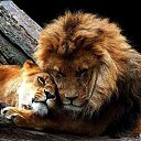 ���� �����, ������, 40 ��� - ��������� 26 ������ 2014 � ������ ���� ����������