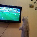 ���� ������, �������, 46 ��� - ��������� 4 ������ 2014 � ������ ���� ����������