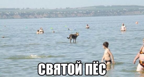      !  <a href=