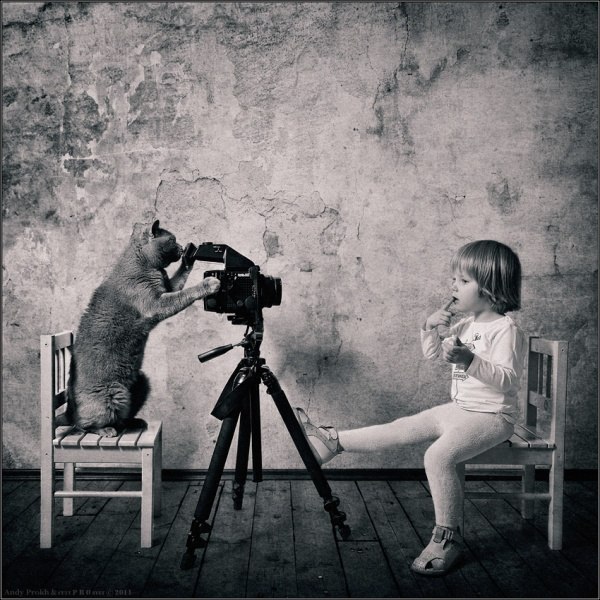 Девочка и кот. Фотоистория одной девочки и кота от Андрея Прохорова. На просторах интернета перед ... - 7