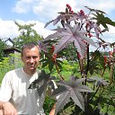 ��� ������� �� ����! �� ������� ���� ����������