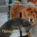 ���� �����, ������, 34 ���� - ��������� 27 �������� 2014 � ������ ������ ��������