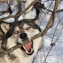 ���� �����, ��������, 50 ��� - ��������� 30 ������� 2014 � ������ ������ ��������