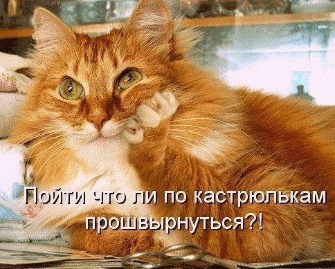 ��������� - 1 �������� 2014 � 14:58