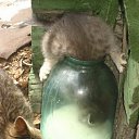 ���� �����, �����-���������, 68 ��� - ��������� 6 ������� 2014 � ������ ������ ��������