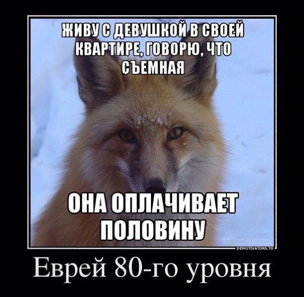    :D - 1  2014  13:55