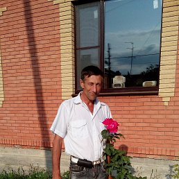 , 60 , 