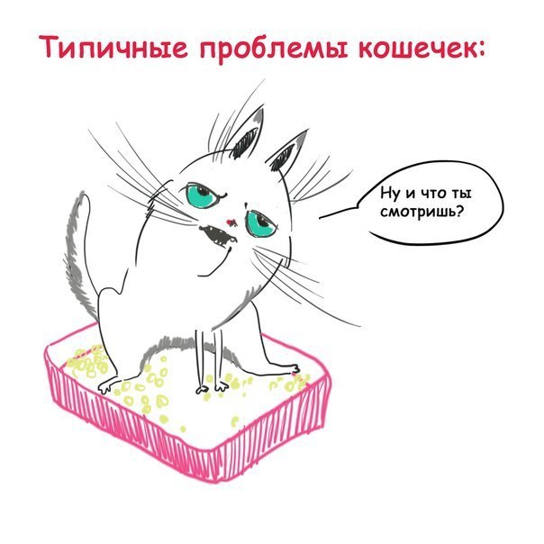 Art & Fun - 26 ������� 2014 � 06:20