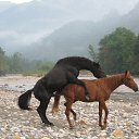 ����� �� ������� ��������� 2014.05. �������..�