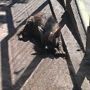 ������!!!) �� ������� ���� ����������