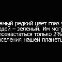 ���� Ը���, ������������, 43 ���� - ��������� 2 ������� 2014 � ������ ������ ��������