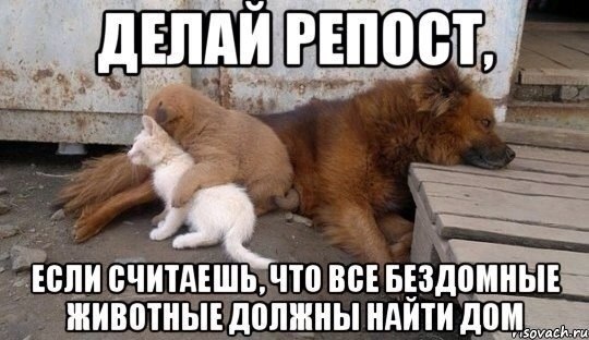   :D - 19  2014  06:53