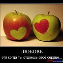 ���� �����, �����, 49 ��� - ��������� 5 ������� 2014 � ������ ������ ��������