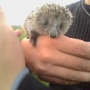 ���� �������, ������ - ��������� 7 ������� 2014 � ������ ���� ����������