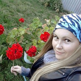 ������, �������, 36 ���