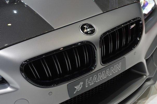 2014 Hamann BMW M6 Mirror - 8