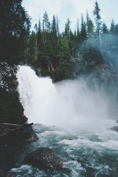 tumblr - 29  2014  19:26