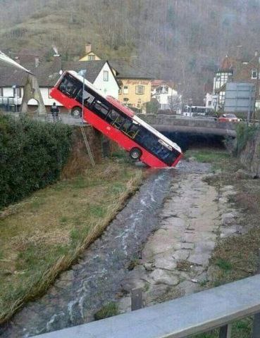 А на этом фото, вы можете увидеть как дикий автобус пьёт из реки.