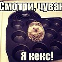 ���� ����, ������ - ��������� 29 ������� 2014 � ������ ������ ��������