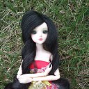 ���� �������, ������ - ��������� 12 �������� 2014 � ������ ���� ����������