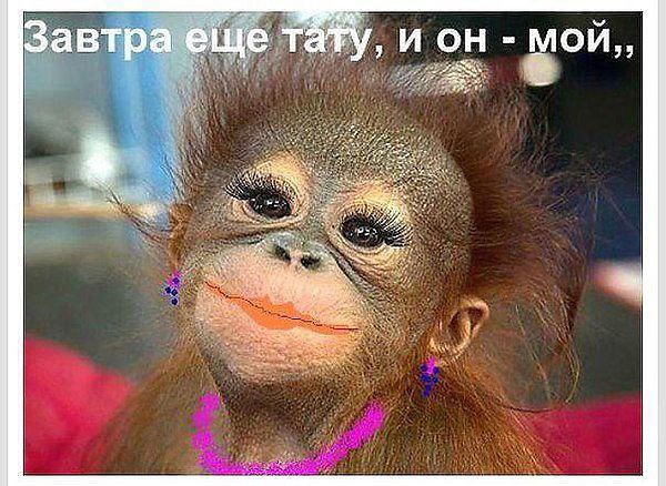 ������ �����������, ������� �����.......������, ��� ������ ���� �������� �����.))