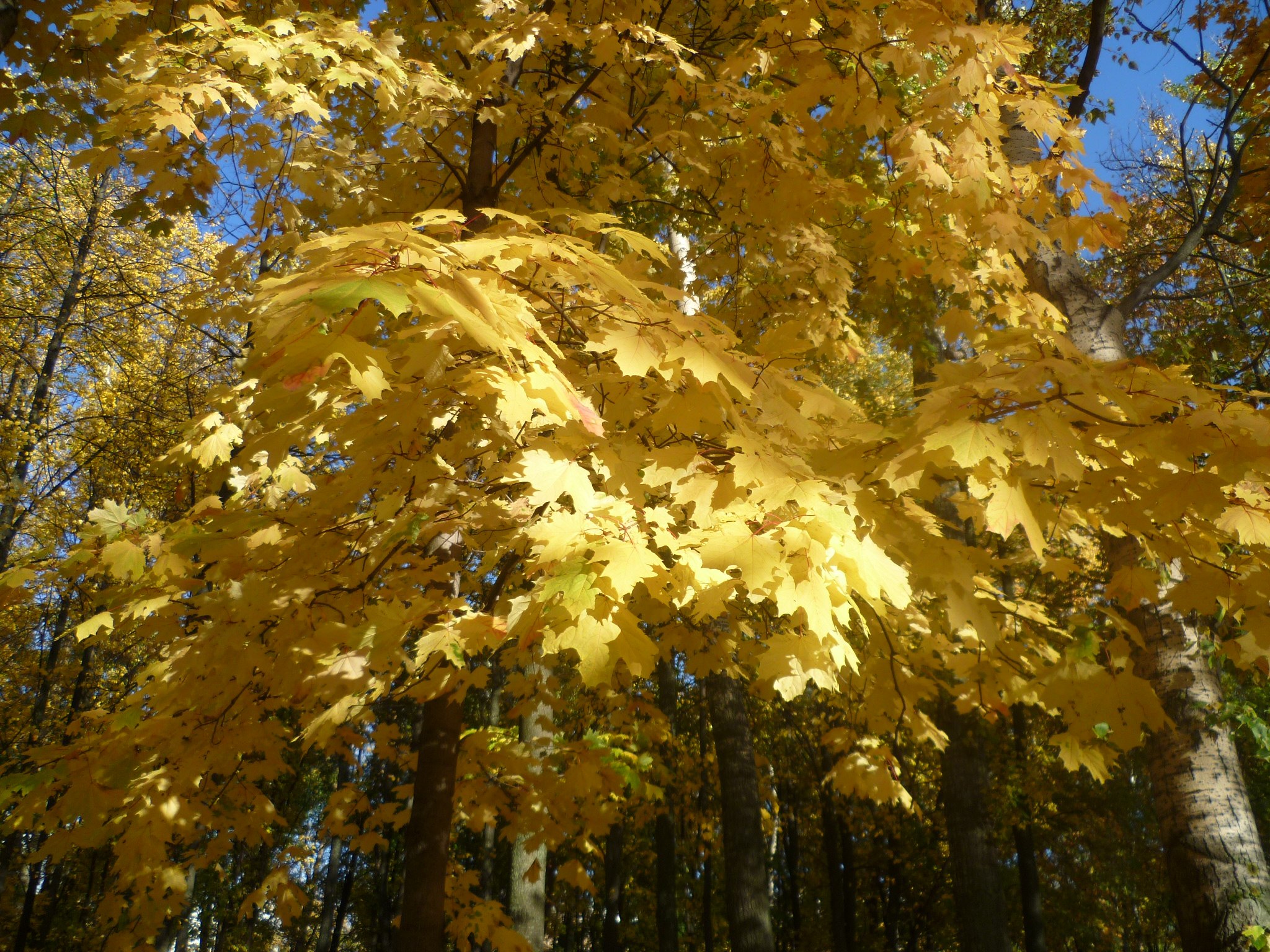 � ���� ������, � ���� ------&mdash; �����.. - 3