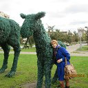 ���� Elena, �������, 70 ��� - ��������� 30 �������� 2014 � ������ ���� ����������