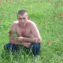 ���� �������, ����������, 44 ���� - ��������� 12 ������� 2014