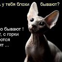 ���� @��., ������ - ��������� 29 �������� 2014 � ������ ������ ��������