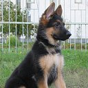 ���� �������, �����-���������, 45 ��� - ��������� 9 ������� 2014 � ������ ������ ��������