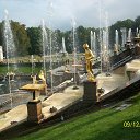      2014