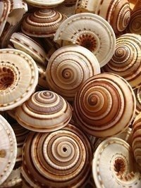 ,  ,     !   ,   !    -   ... , ...