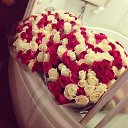 ���� �������, ������, 45 ��� - ��������� 25 ������� 2014 � ������ ������ ��������