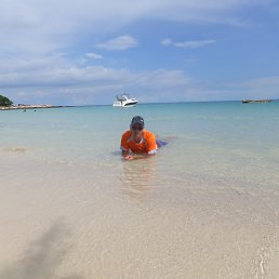 ���� Ayo, �����-��������� - ��������� 31 ������� 2014