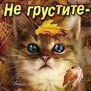 ���� �����, ������ - ��������� 7 �������� 2014 � ������ ������ ��������