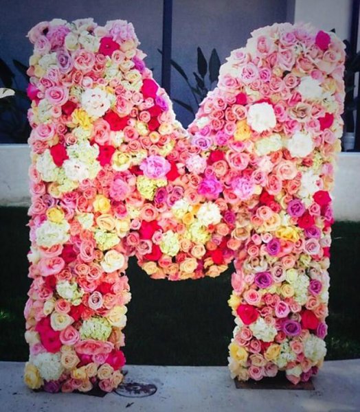 ��� ����� ���������� ���������� �� ����� �