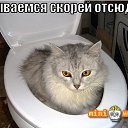 ���� ����, ����� - ��������� 29 ������� 2014 � ������ ����