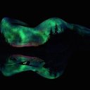 ���� ������, �������� - ��������� 7 �������� 2014 � ������ ������ ��������