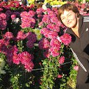 ���� �����, �����������, 62 ���� - ��������� 21 �������� 2014 � ������ ���� ����������