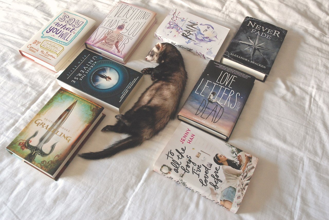 tumblr - 7  2014  23:59