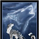  , , 24  -  22  2014   PetLove