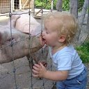  , -, 55  -  11  2014    