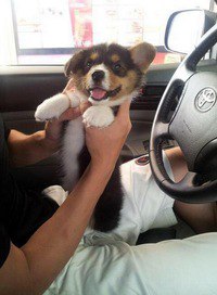 ���� Romeo, ������ - ��������� 12 ������� 2014