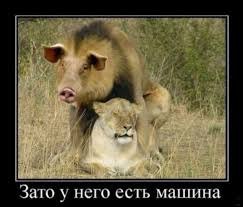 ,  !!! <a href=