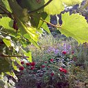  ,  -  26  2014        )))