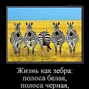 ���� ���������, ������, 58 ��� - ��������� 29 ������� 2014 � ������ ������ ��������