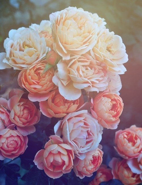 ������� ���� - 1 ������ 2014 � 11:25