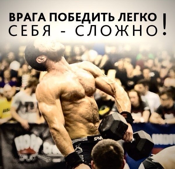 SportFeed - 29  2014  23:17