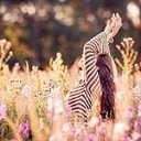 ���� ���������, �������� - ��������� 23 ������� 2014 � ������ ���� ����������